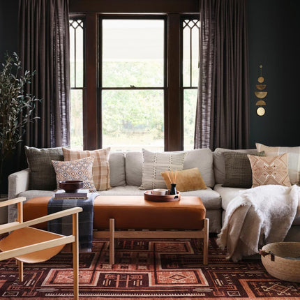 Jagriti Hand-Knotted Area Rug