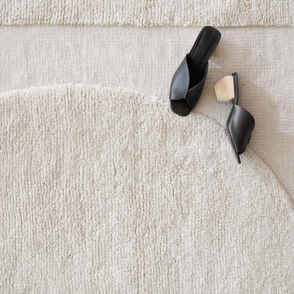 Shanti Accent Rug