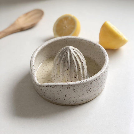 Citrus Juicer