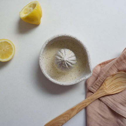 Citrus Juicer