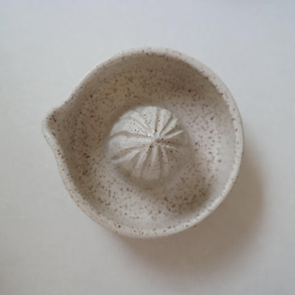 Citrus Juicer